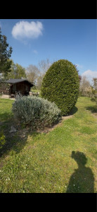 Photo de galerie - Taille 