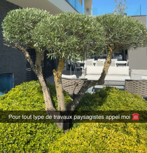 Photo de galerie - Olivier 