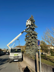 Photo de galerie - Mise en sécurité, sapin, abattage de la tête