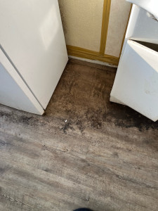 Photo de galerie - Avant 