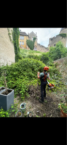 Photo de galerie - Roncier de 15 m2 à supprimer 