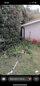 Photo de galerie - Taille de haies et d'arbustes