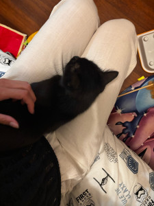 Photo de galerie - Blacky