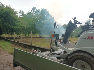 Photo de galerie - Tonte de pelouse 