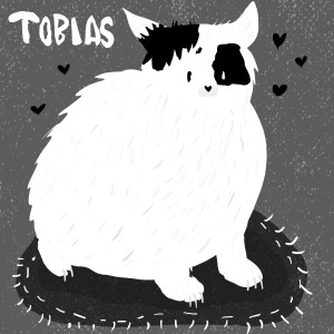 Photo de galerie - Illustration 