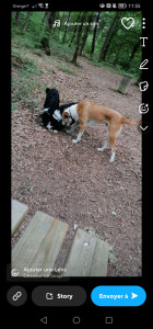 Photo de galerie - Il étais juste adorable