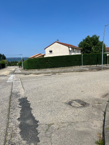 Photo de galerie - Taille d’une haie de Cyprès ?