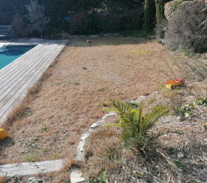 Photo de galerie - Pose de pelouse