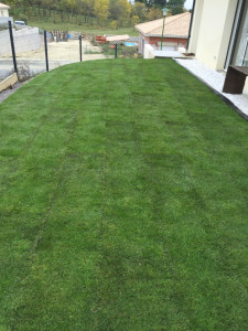 Photo de galerie - Pose de gazon en plaque