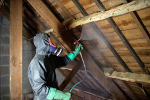 Photo de galerie - Charpente