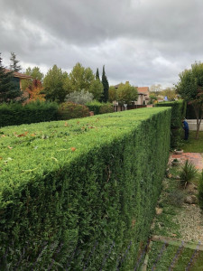 Photo de galerie - .