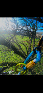 Photo de galerie - Petite grimpe dans ces pedonculé