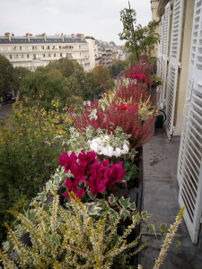Photo de galerie - Paysagiste - Aménagement du jardin