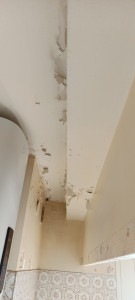 Photo de galerie - Peinture - Tapisserie