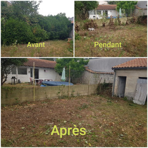 Photo de galerie - Coupe d arbuste