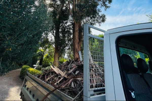 Photo de galerie - Tonte de pelouse - Débroussaillage