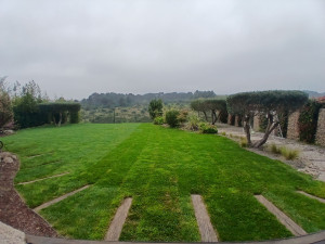 Photo de galerie - Paysagiste - Aménagement du jardin