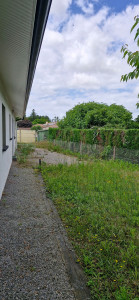 Photo de galerie - Tonte de pelouse - Débroussaillage