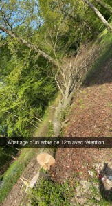 Photo de galerie - Abbatage d’un arbre 