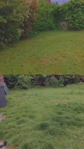 Photo de galerie - Débroussaillage léger par Zone 
Tonte de pelouse et finition bordure 
