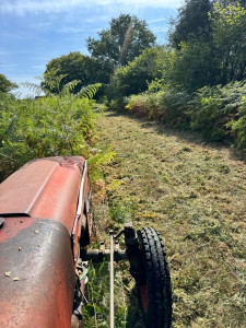 Photo de galerie - Broyage de champ