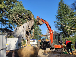 Photo de galerie - Paysagiste - Aménagement du jardin