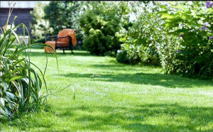 Photo de galerie - .