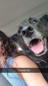 Photo de galerie - Partout en tout temps 