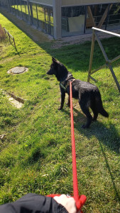 Photo de galerie - Promenade 