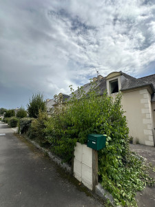 Photo de galerie - Taille de haies et d'arbustes