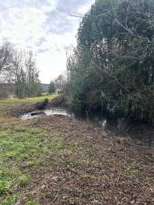 Photo de galerie - Nettoyage de roncier 