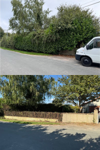 Photo de galerie - Avant après rabattement de haies 