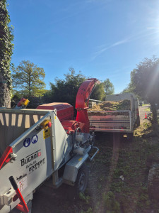 Photo de galerie - Broyage de branches 
