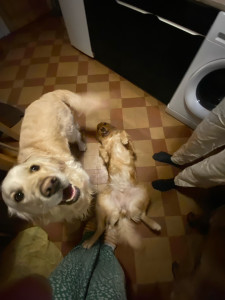 Photo de galerie - :)