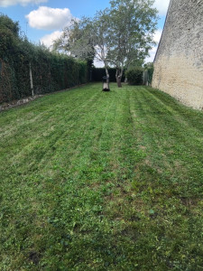 Photo de galerie - Tonte avec ramassage 