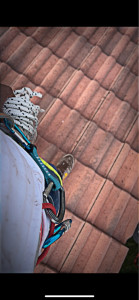 Photo de galerie - Couverture - Toiture