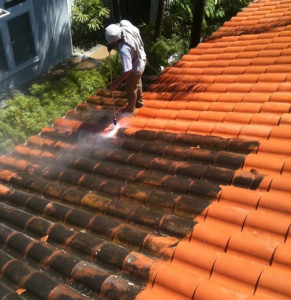 Photo de galerie - Couverture - Toiture