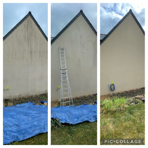 Photo de galerie - Traitement d’un champignon sur pignon