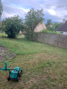 Photo de galerie - Tonte de pelouse - Débroussaillage