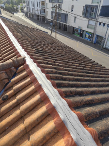 Photo de galerie - Couverture/Toiture
