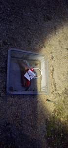 Photo de galerie - Mise en place d'un regard suite à une réparation d'un câble informatique 