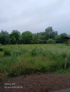 Photo de galerie - Paysagiste - Aménagement du jardin