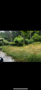 Photo de galerie - Jardinier