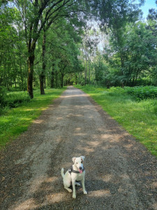 Photo de galerie - Ballade au parc 