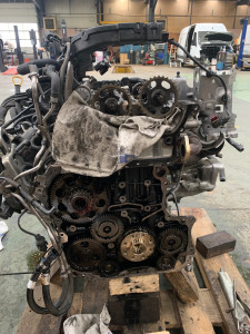 Photo de galerie - Distribution a pignon