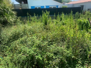 Photo de galerie - Jardinier