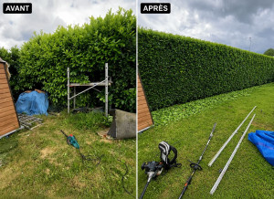Photo de galerie - Taille d’une haie de 15m de long