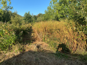 Photo de galerie - Avant 