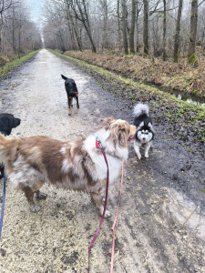 Photo de galerie - Une petite balade collective pour profiter de la vie et des copains 