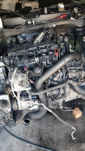 Photo de galerie - Chaine distribution 